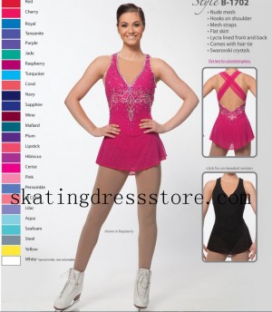 Pink Competition Women No Sleeve Nude Mesh Skating Dress Brad Griffies B-1702